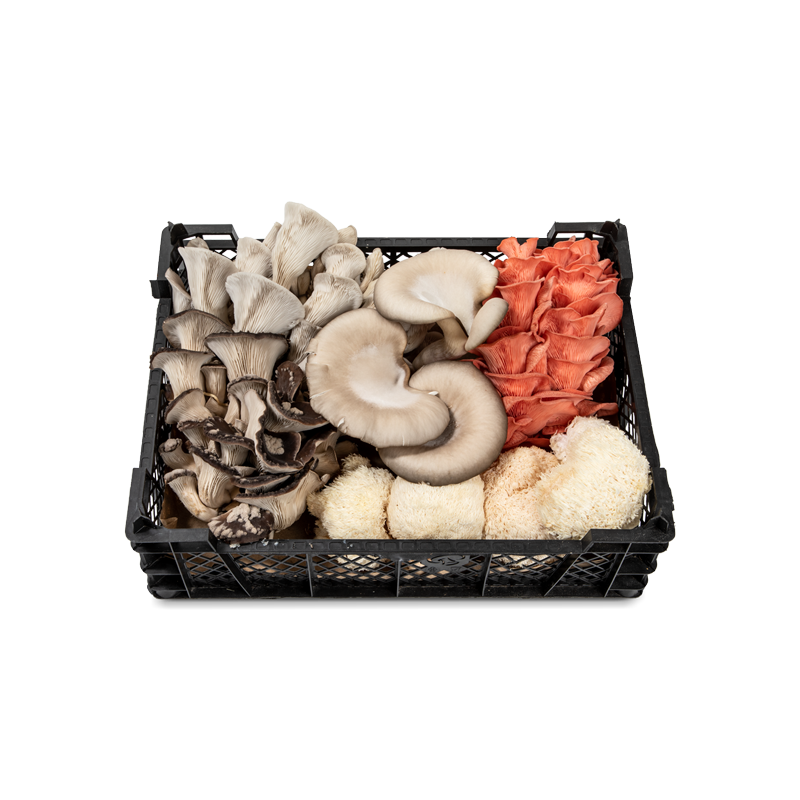 Mixed Mushroom Catering Tray